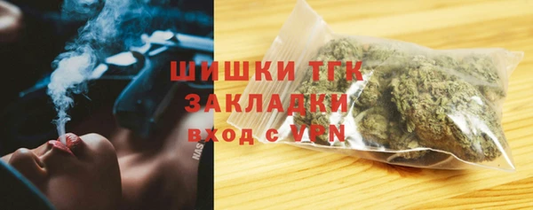 твердый Ельня