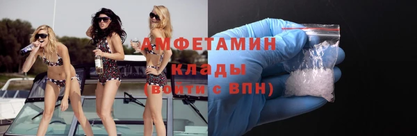 твердый Ельня