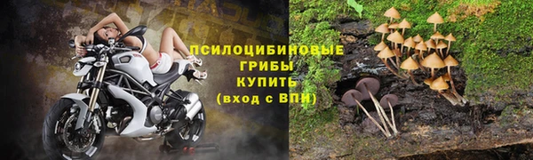 твердый Ельня