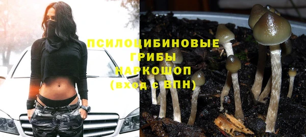 бошки Елизово