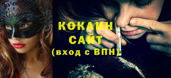 твердый Ельня