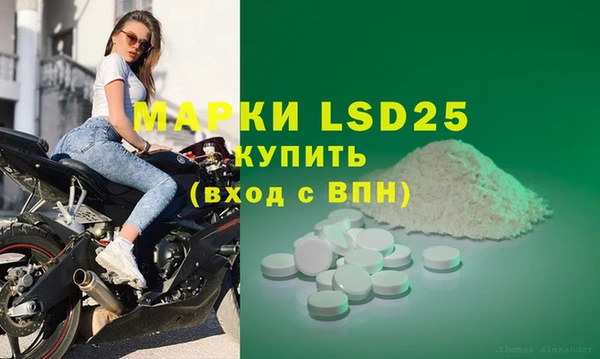 твердый Ельня