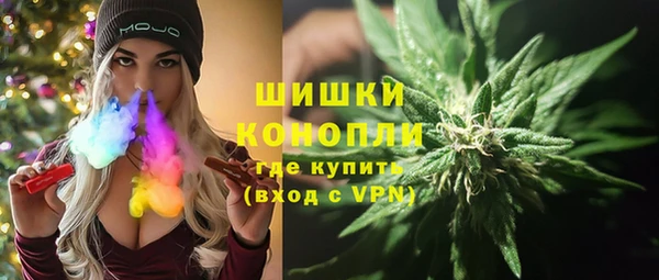 твердый Ельня