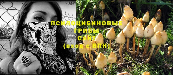 твердый Ельня